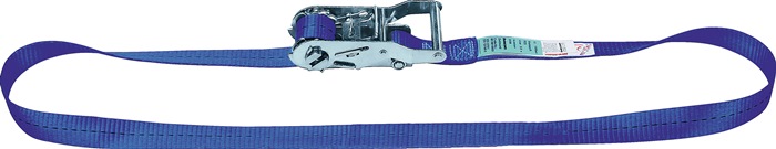 DOLEZYCH Zurrgurt Länge 4 m Breite 25 mm