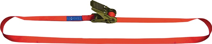 DOLEZYCH Zurrgurt Länge 4 m Breite 25 mm