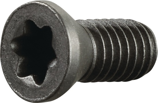 TECWERK Spannschraube M3,5 Gewinde-L.8mm z.Klemmdrehhalter SE R/ SI L TECWERK - Vorteilspack