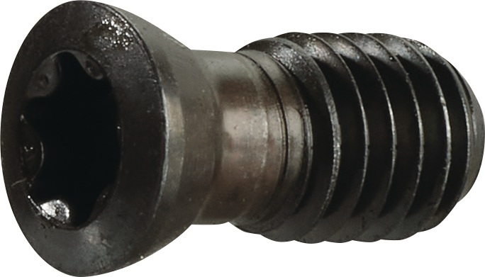 TECWERK Spannschraube US 4511 Gr.T20 f.SEKT/SEET 1204 z.Planfräser TECWERK