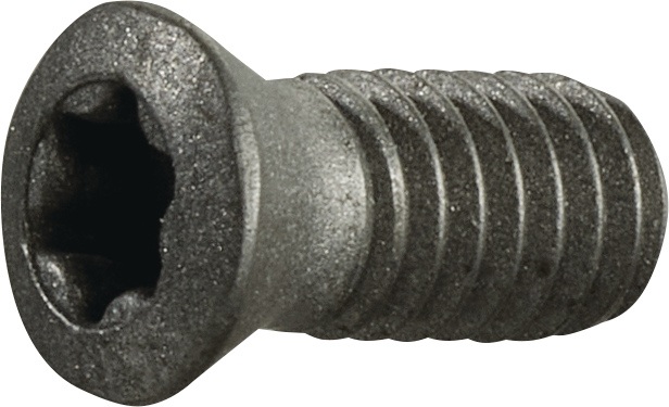 TECWERK Spannschraube Gr.T15 f.TCGX 1635 M4 Gewinde-L.9mm z.Fasenfräser TECWERK