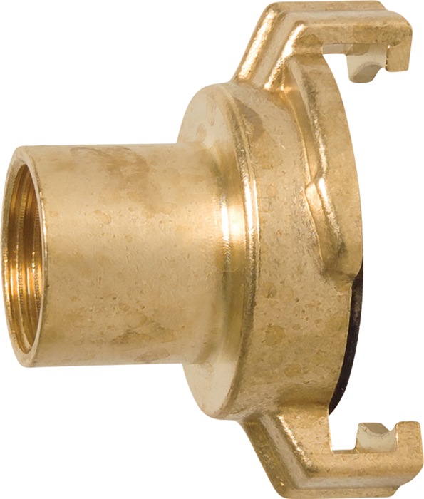 PROFEC Gewindestück Messing - Vorteilspack