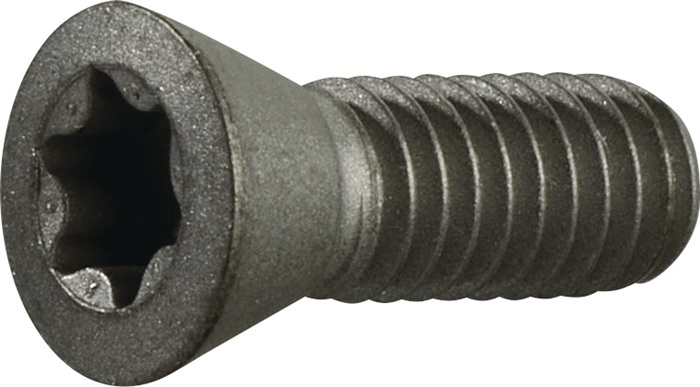 TECWERK Spannschraube Gr.T20 f.TCMT 16/SCMT 12 z.Fasenfräser TECWERK