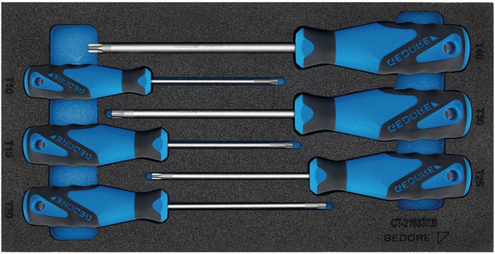 GEDORE Werkzeugmodul 6-teilig 1/3-Modul